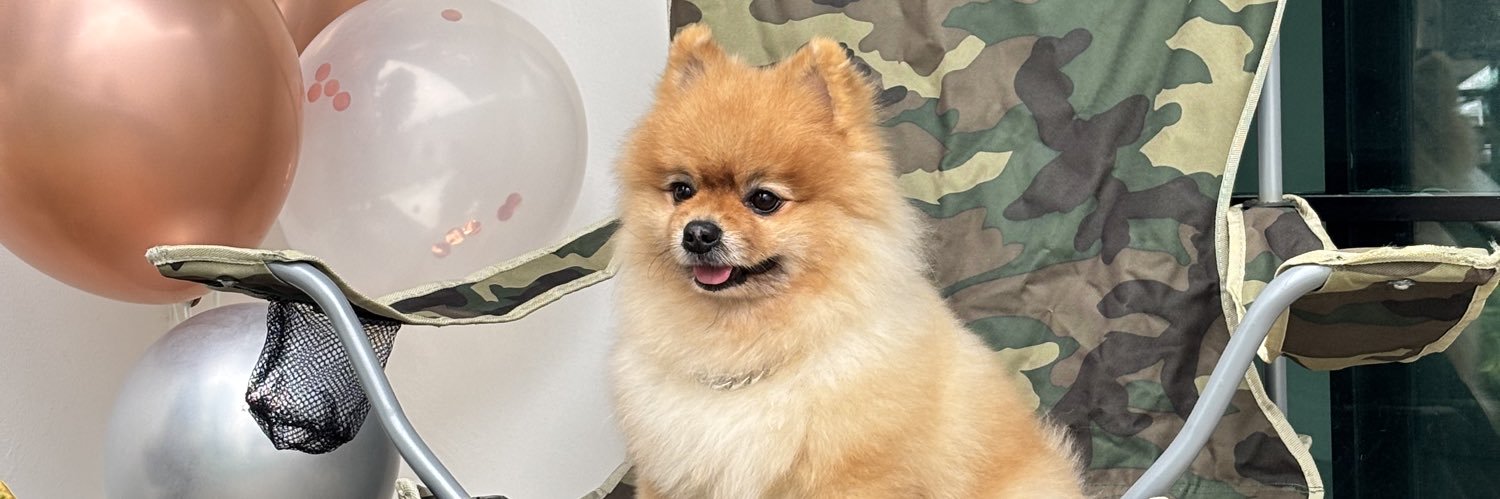 primjyyy's profile banner image