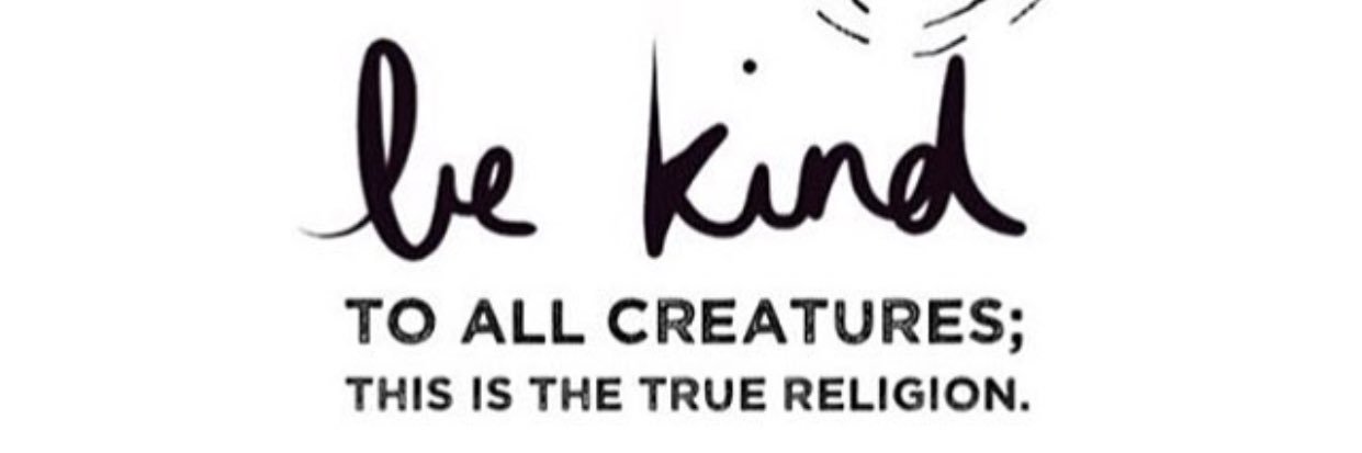KCorto's profile banner image