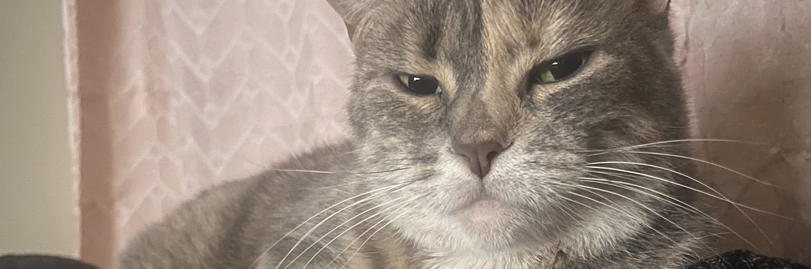 BrittTheChamp's profile banner image