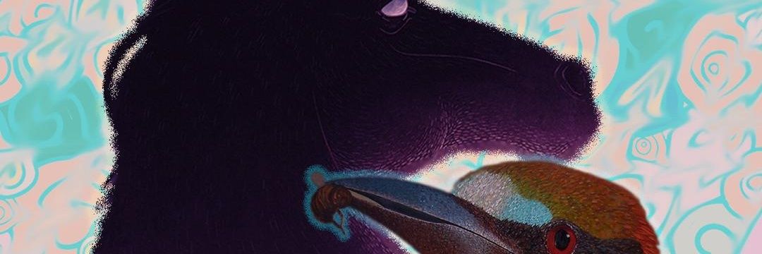 _kamdiii's profile banner image