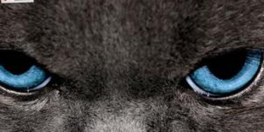 KelvinR24's profile banner image