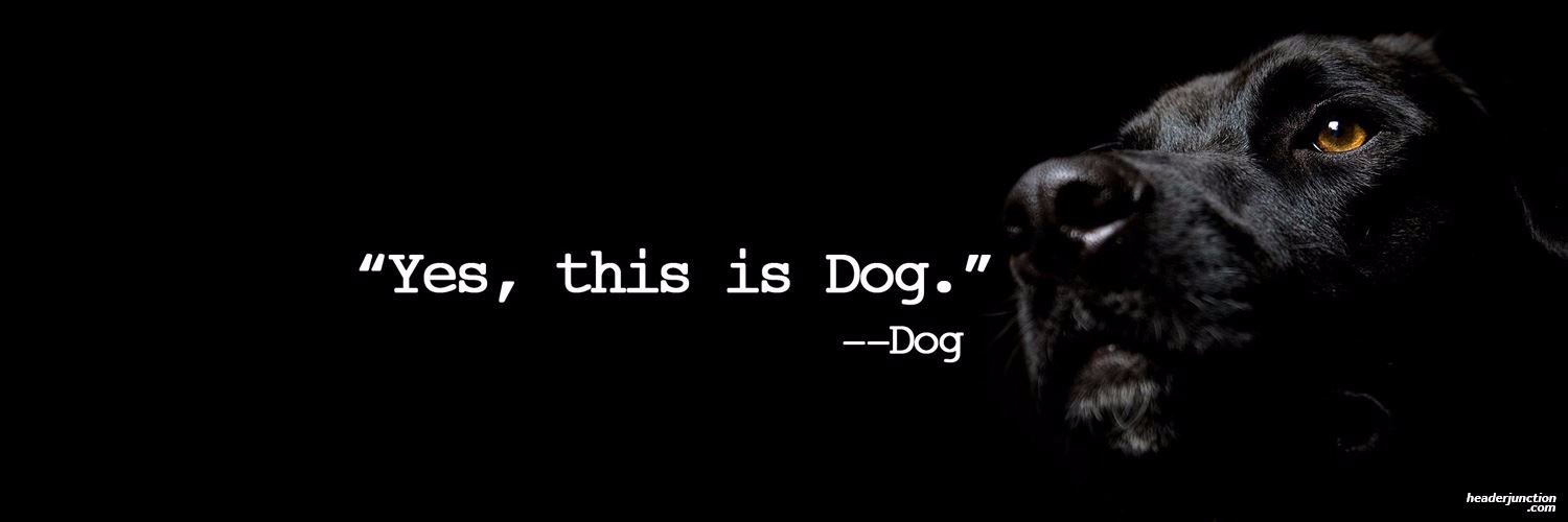 D_Murph16's profile banner image