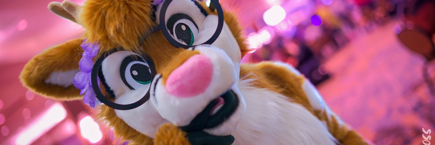 Mont_Fox's profile banner image