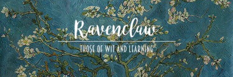 Michelle Cook banner