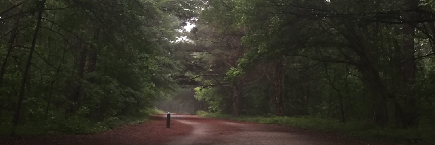 TMOsborne's profile banner image