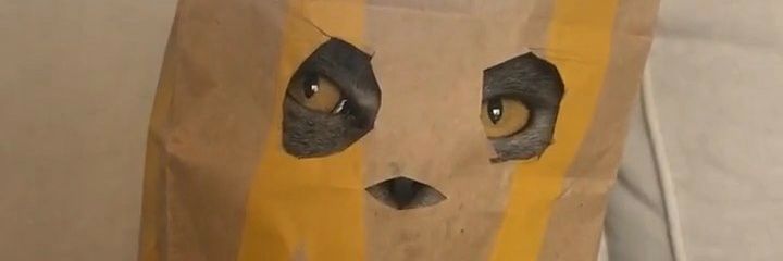 andreadou_'s profile banner image