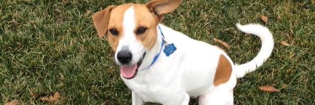 BobbyChik's profile banner image