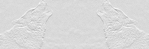 Kreuzzer's profile banner image