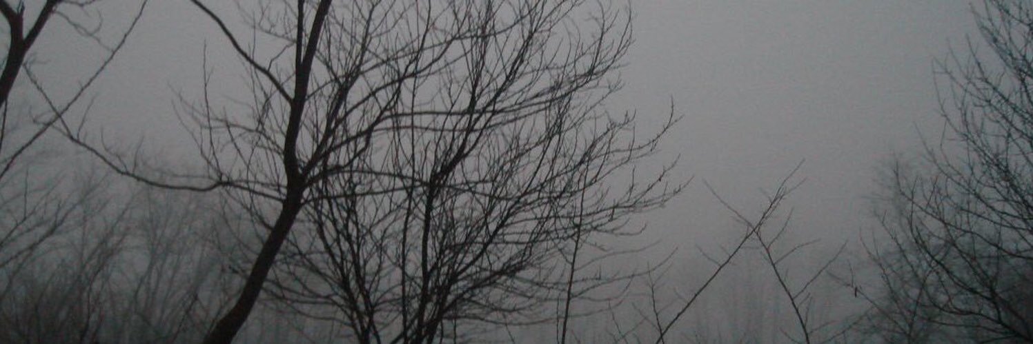 shadowlewis123's profile banner image