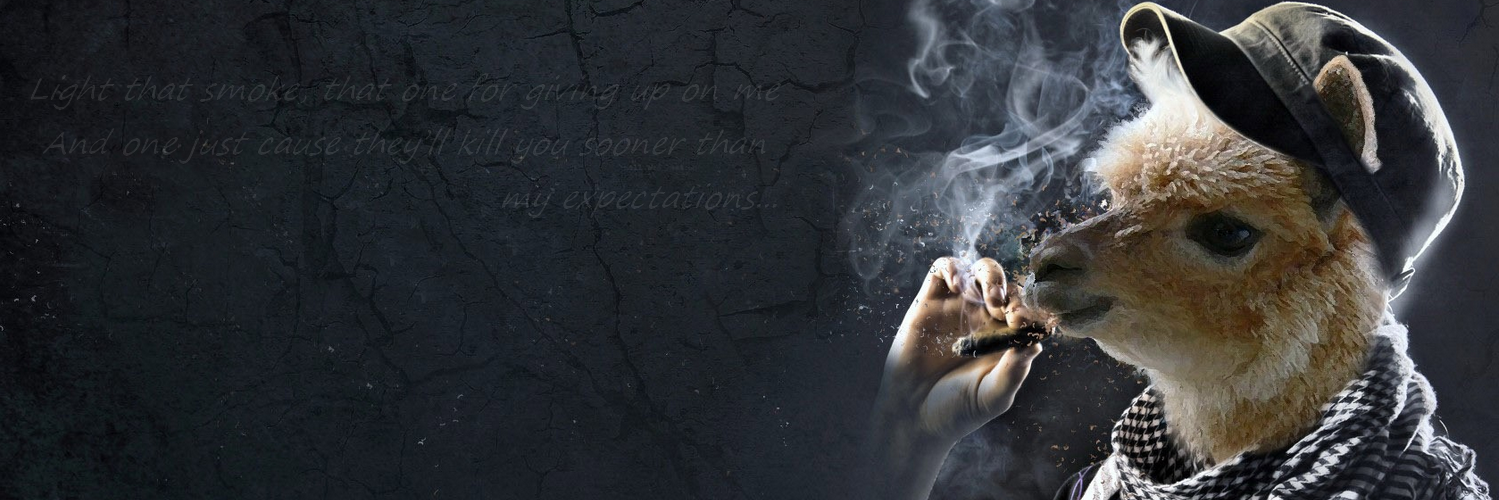 DaniPaddock's profile banner image
