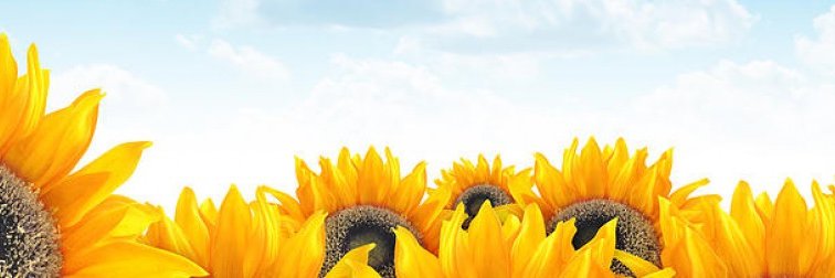 baaakes's profile banner image
