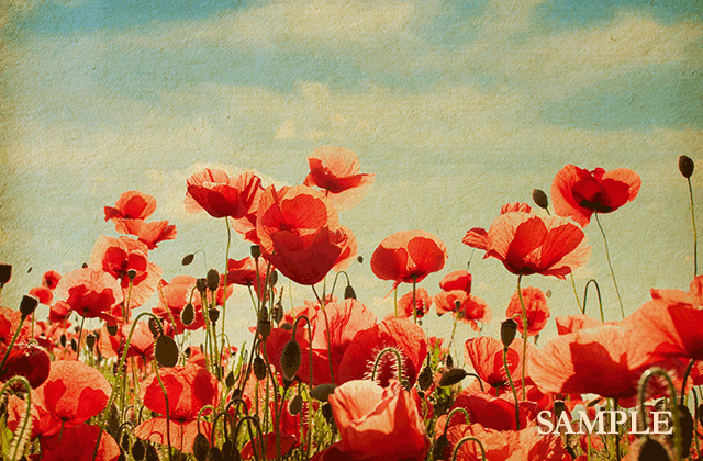 yu_uy0122's profile banner image