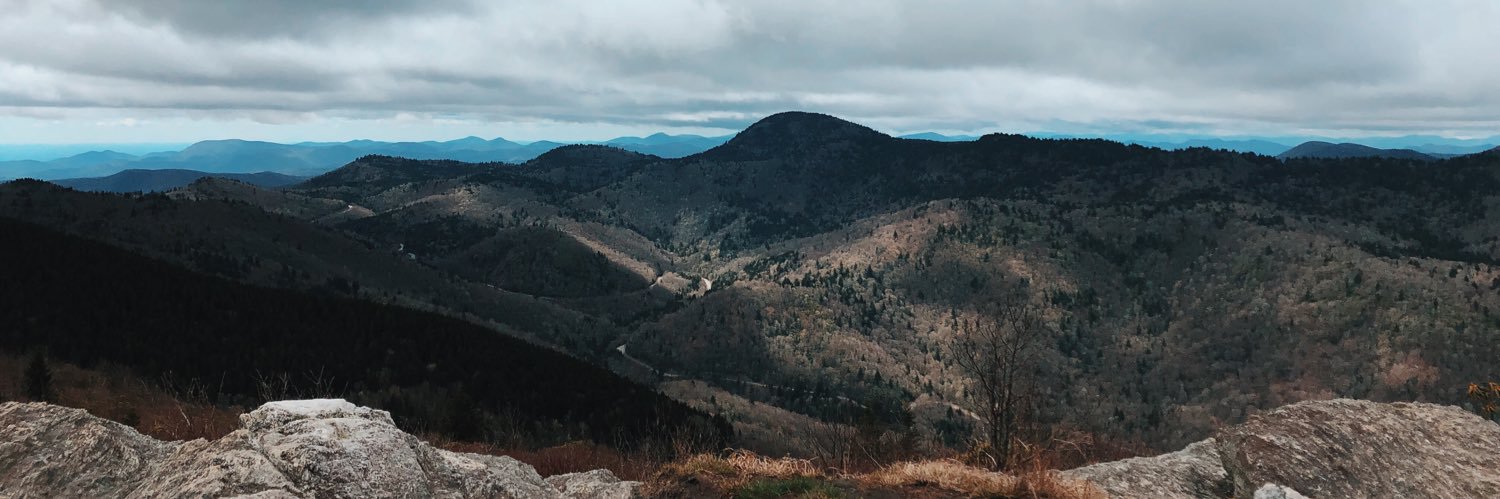 Taylor Wilson banner