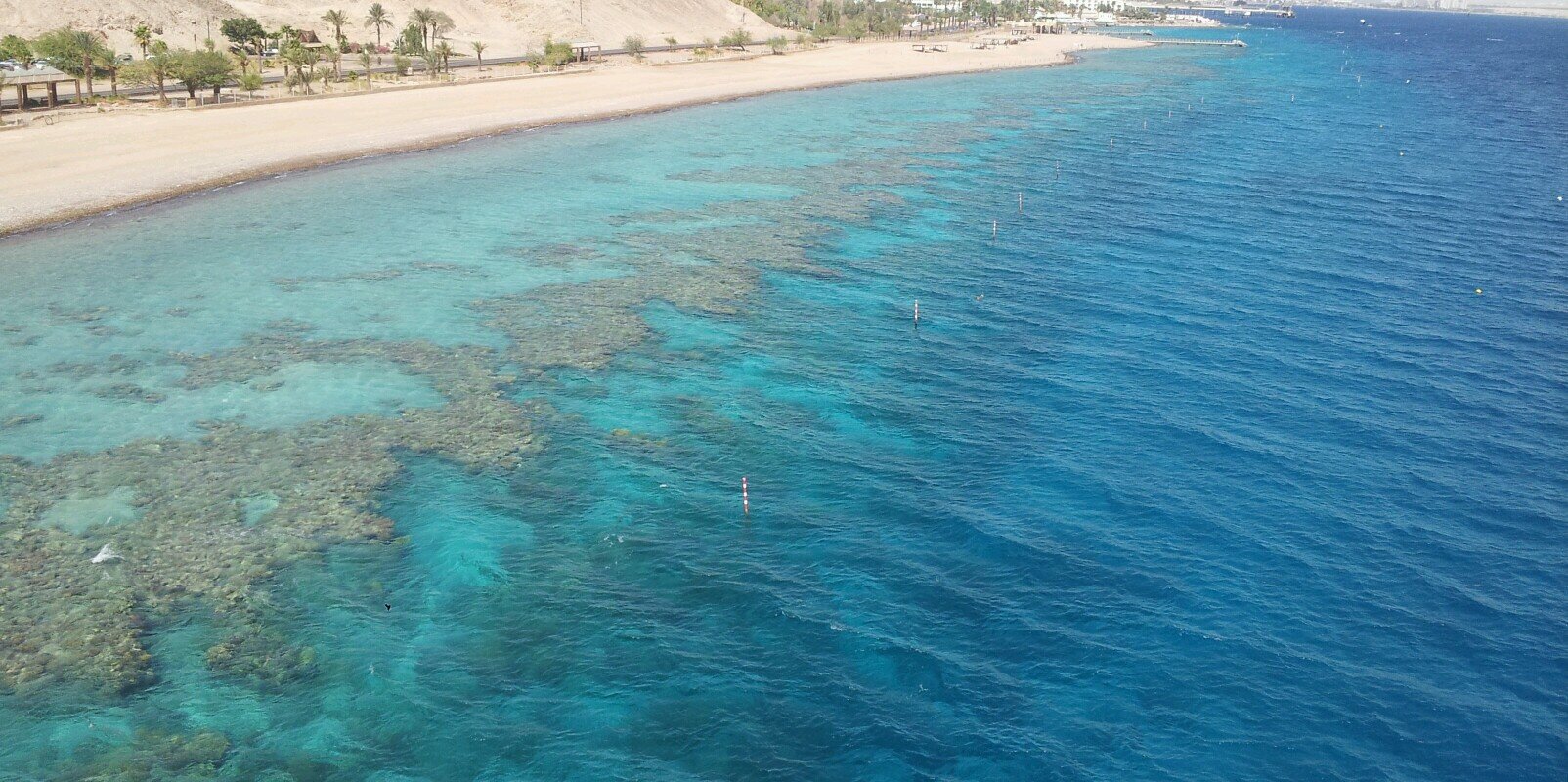 mo mutterperl banner