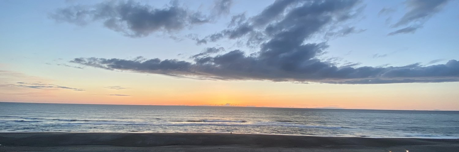 allisyn_rae's profile banner image