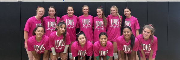 LDVolleyball Profile Banner
