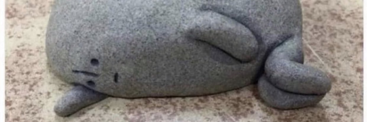 GraceOh1's profile banner image