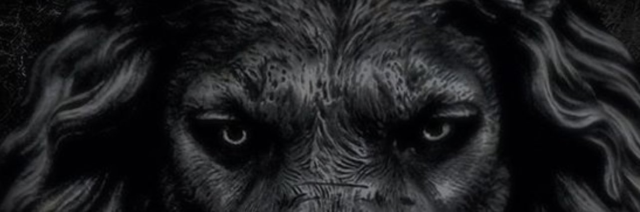 TabeTHEBABE's profile banner image