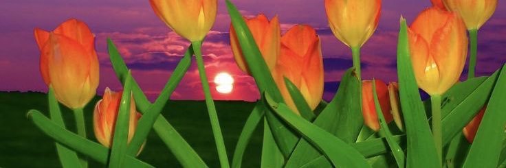 emmanuelpatten's profile banner image
