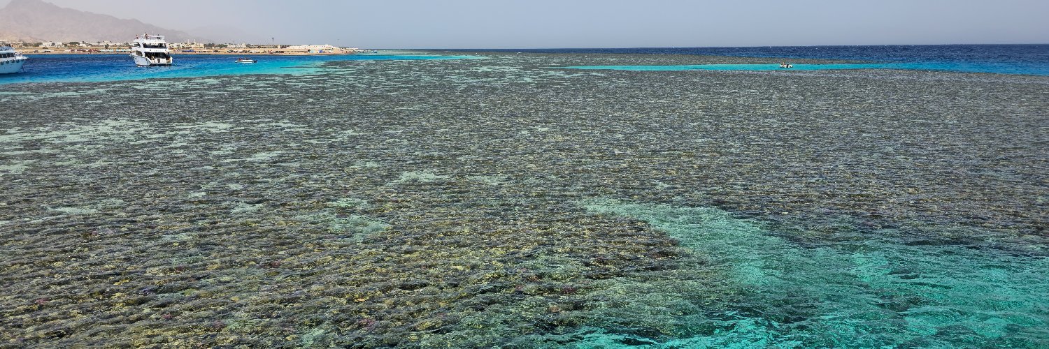 Marco Soliman banner