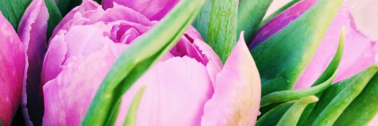 SlocumKristi's profile banner image