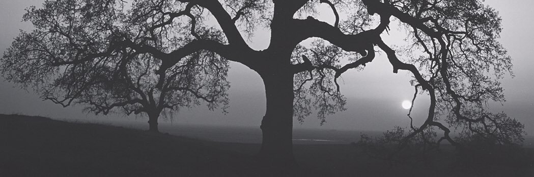 isaacparra's profile banner image