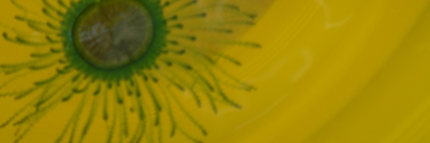 zegn's profile banner image