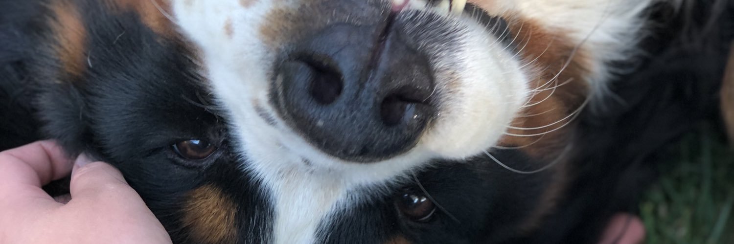 kendall_lien's profile banner image