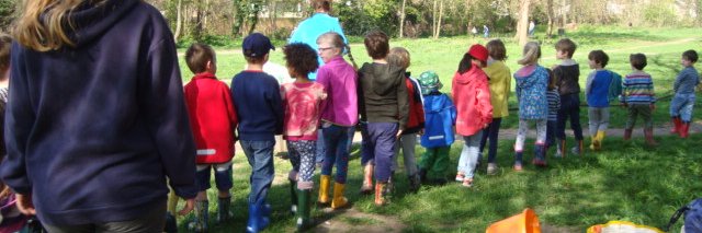 Forries Education banner