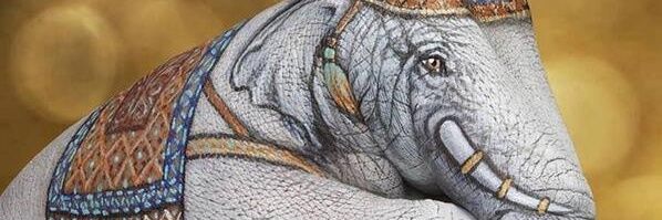 dorothydurga's profile banner image