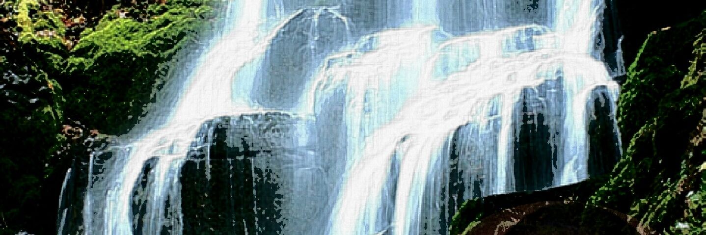 MeshJautse's profile banner image