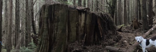 kennethlipp Profile Banner