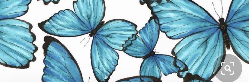 TaylorDemusis's profile banner image