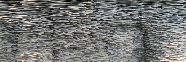 liblaura Profile Banner