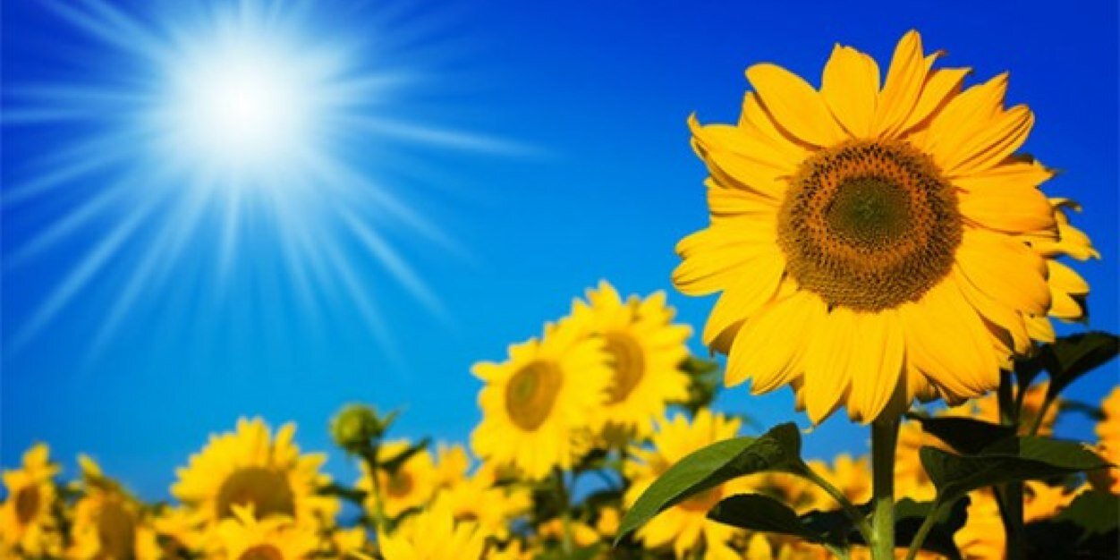 Lisa2LA's profile banner image