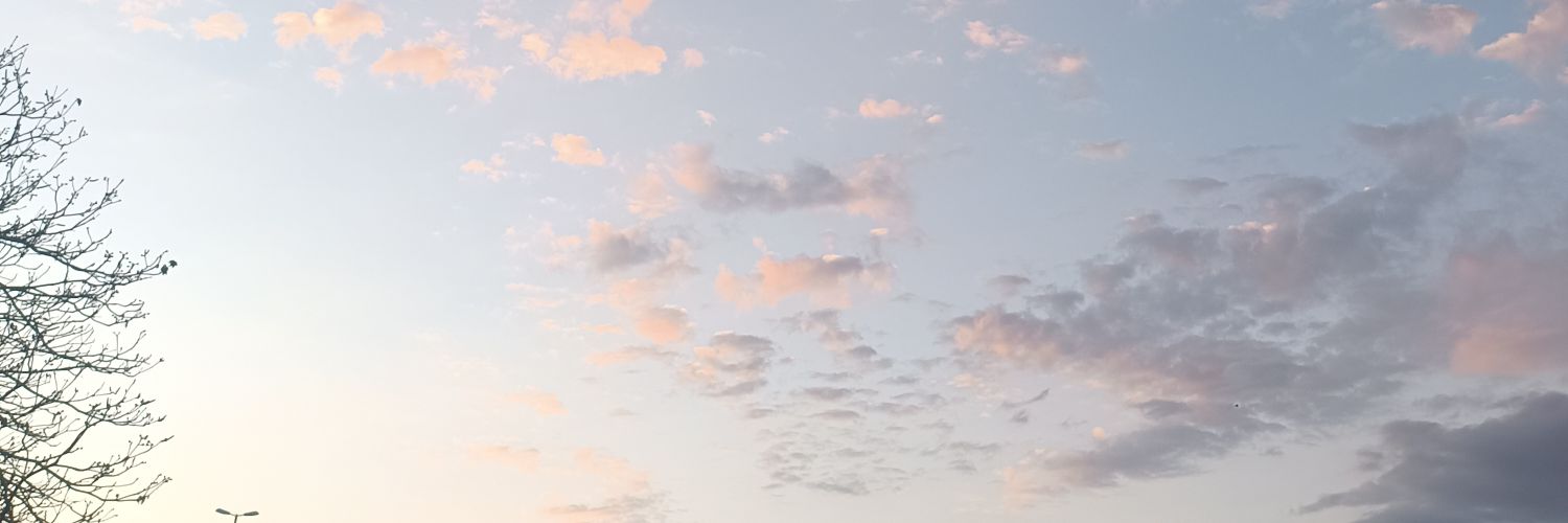 ari_de_letras's profile banner image