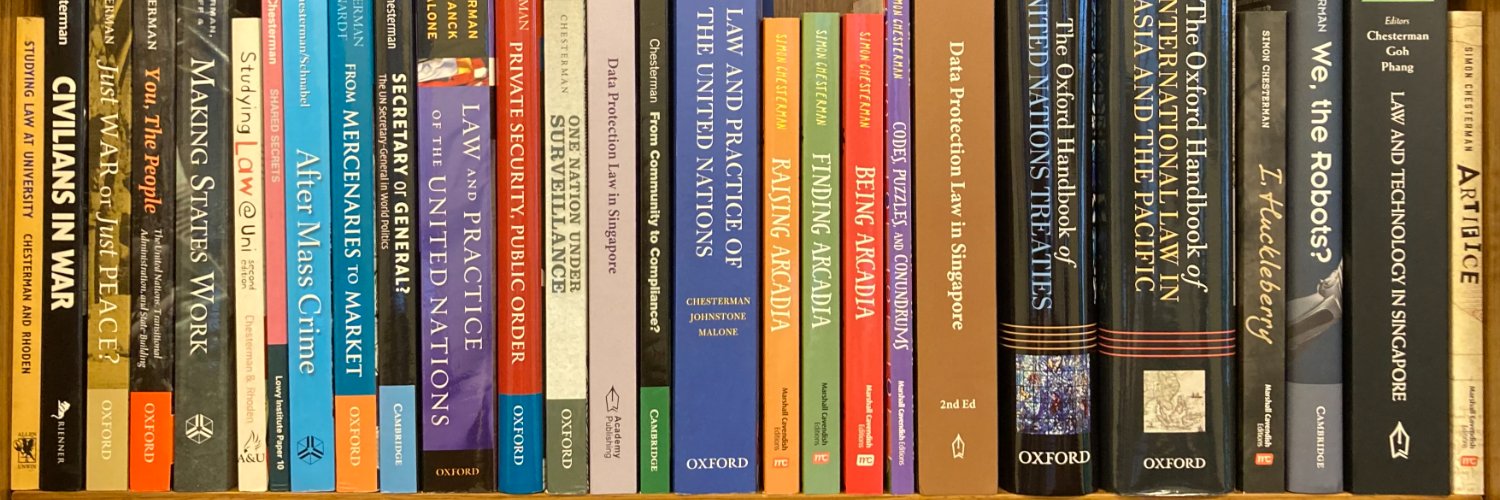 Simon Chesterman 陈西文 banner