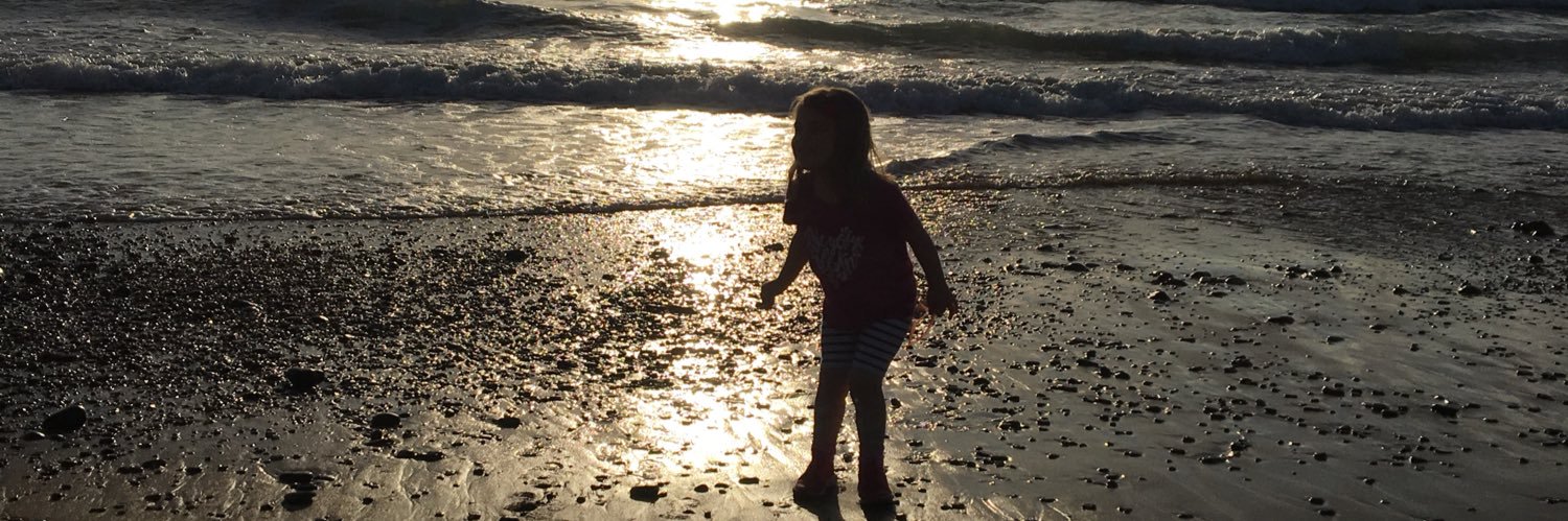 Craig Williams 🏴󠁧󠁢󠁷󠁬󠁳󠁿 banner