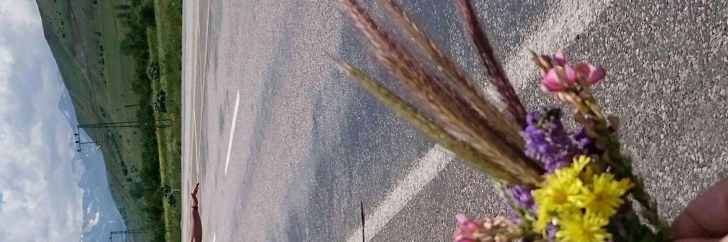 sdhmyra's profile banner image