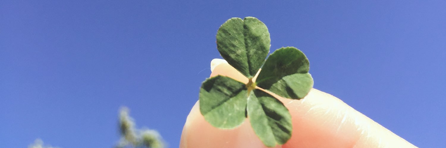 s1124s's profile banner image