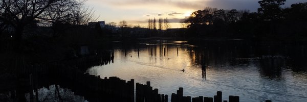 mbh_star Profile Banner