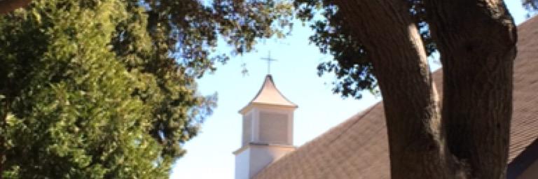 ihmcougars's profile banner image