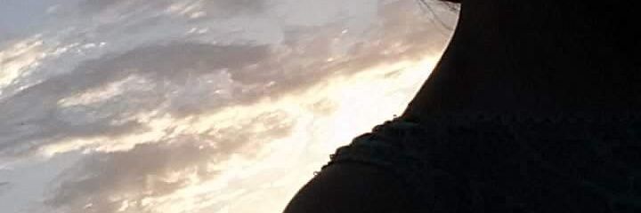 GavrilutS's profile banner image