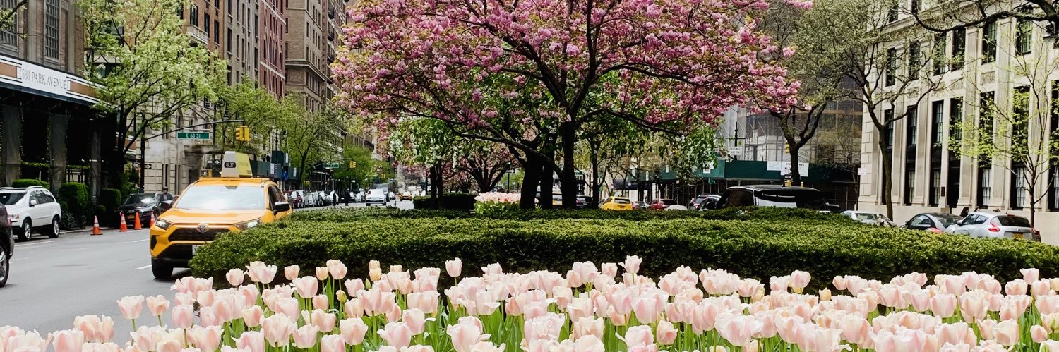 Petty_In_Pink's profile banner image