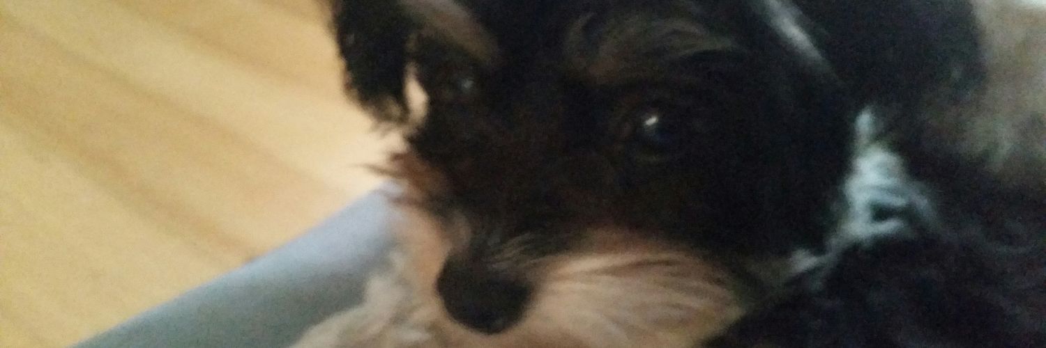 CJonesTB's profile banner image