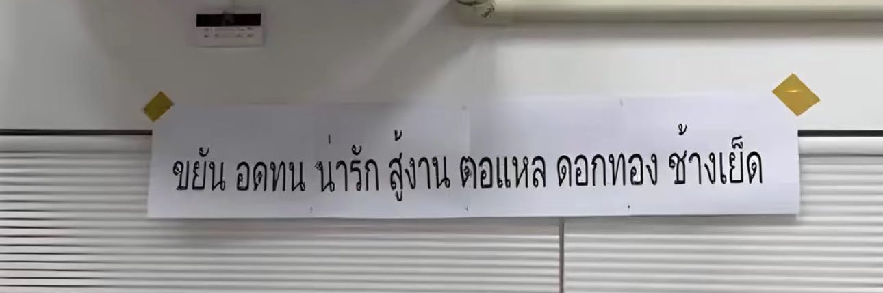 ต้วนต้วน banner