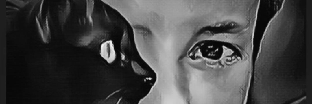 boat_row's profile banner image