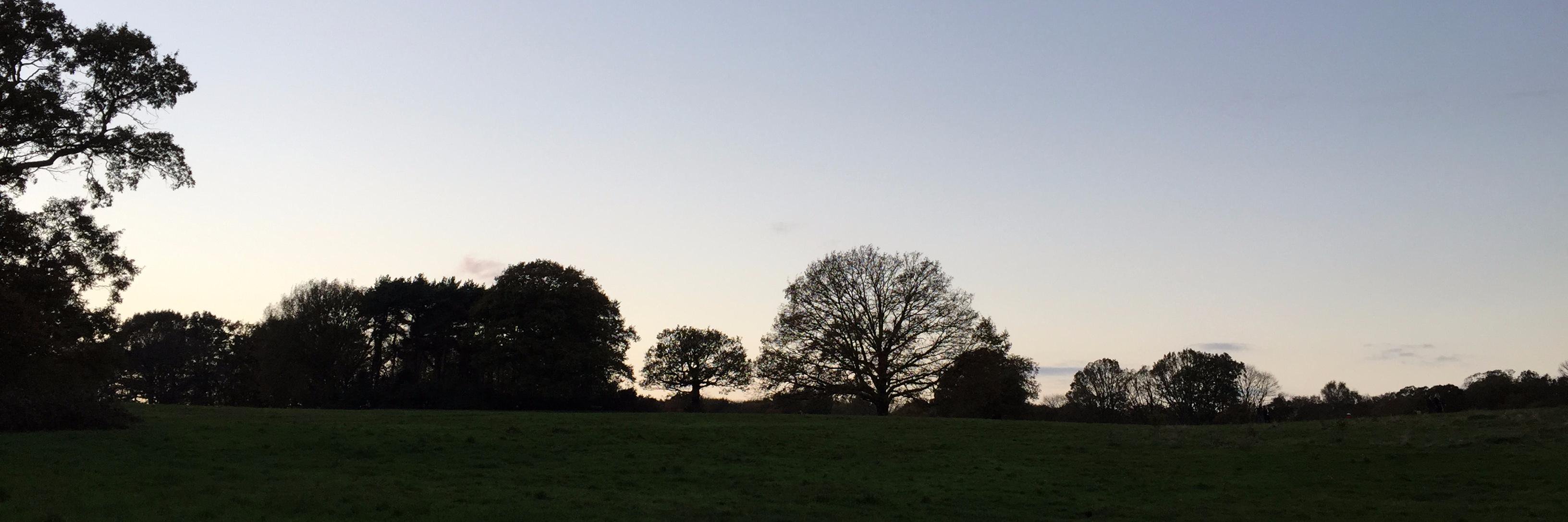 MariaBrosnan's profile banner image