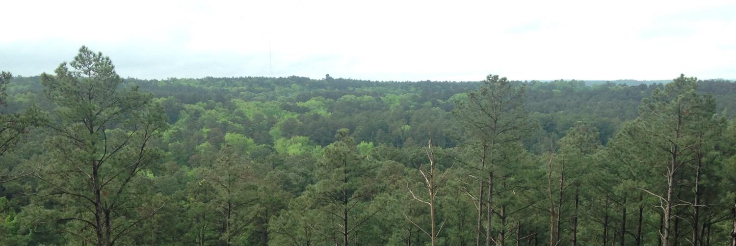 Tweetboosthelp's profile banner image