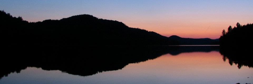 xDRCCx banner